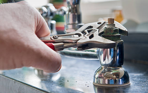 Best Professional water damage repair  in Orlovista, FL