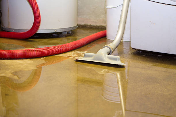 Best Local water damage restoration  in Orlovista, FL