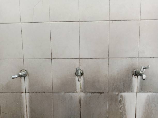 Best Water damage restoration company  in Orlovista, FL