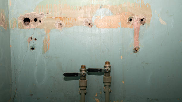 Best Water damage restoration near me  in Orlovista, FL