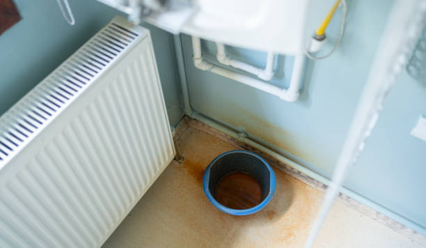 Best Commercial water damage restoration  in Orlovista, FL